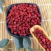 Wild Schisandra Chinensis Wu Wei Zi Five Flavor Berry Herbs Wuweizi herbal tea